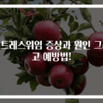 스트레스위염 증상과 원인 그리고 예방법!