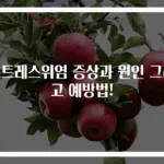 스트레스위염 증상과 원인 그리고 예방법!