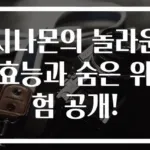 시나몬의 놀라운 효능과 숨은 위험 공개!