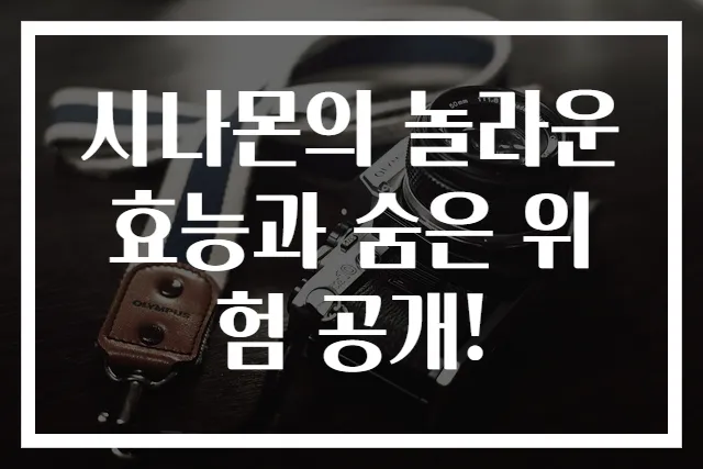 시나몬의 놀라운 효능과 숨은 위험 공개!