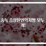 식중독 증상원인약처방 모두 공개!