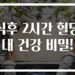 식후 2시간 혈당 내 건강 비밀!