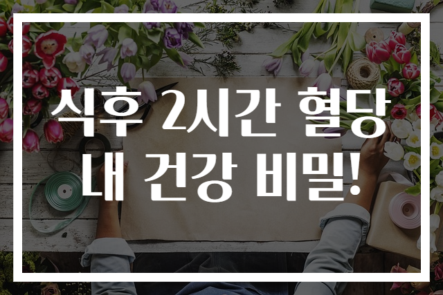 식후 2시간 혈당 내 건강 비밀!