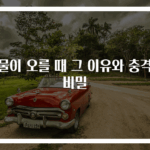 신물이 오를 때 그 이유와 충격적 비밀