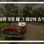 신물이 오를 때 그 이유와 충격적 비밀