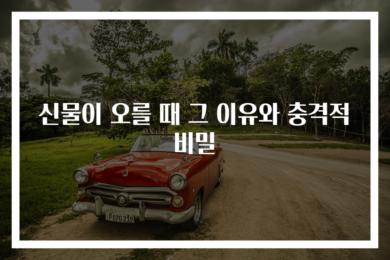 신물이 오를 때 그 이유와 충격적 비밀