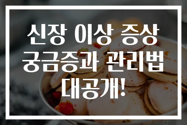 신장 이상 증상 궁금증과 관리법 대공개!