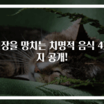 신장을 망치는 치명적 음식 4가지 공개!