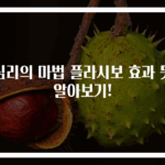 심리의 마법 플라시보 효과 뜻 알아보기!