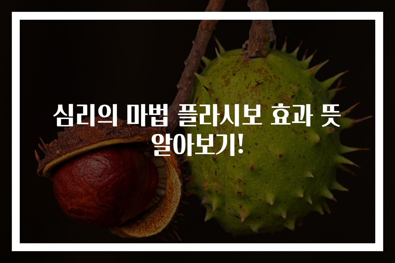 심리의 마법 플라시보 효과 뜻 알아보기!