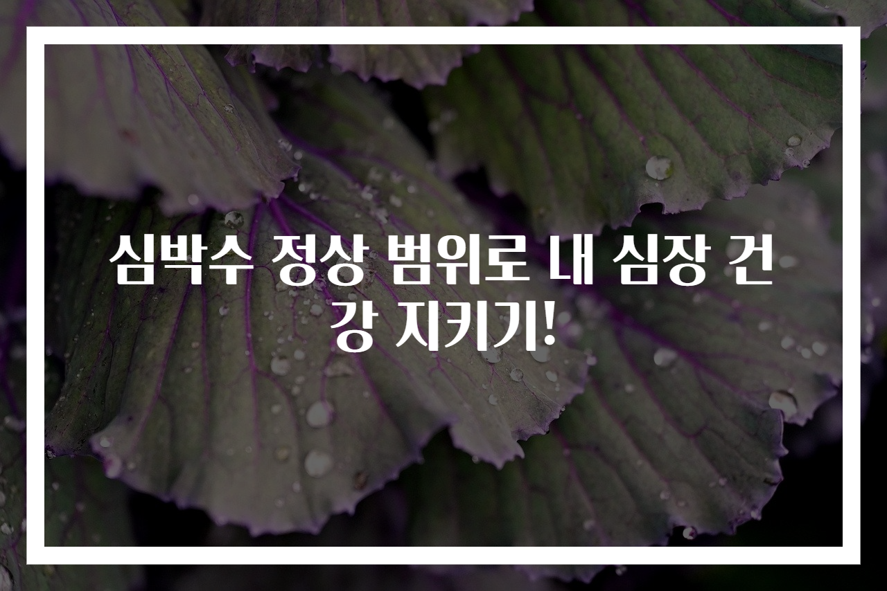 심박수 정상 범위로 내 심장 건강 지키기!