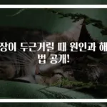 심장이 두근거릴 때 원인과 해결법 공개!