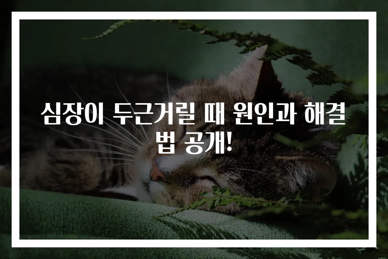 심장이 두근거릴 때 원인과 해결법 공개!