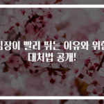 심장이 빨리 뛰는 이유와 위험 대처법 공개!