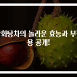쌍화탕차의 놀라운 효능과 부작용 공개!
