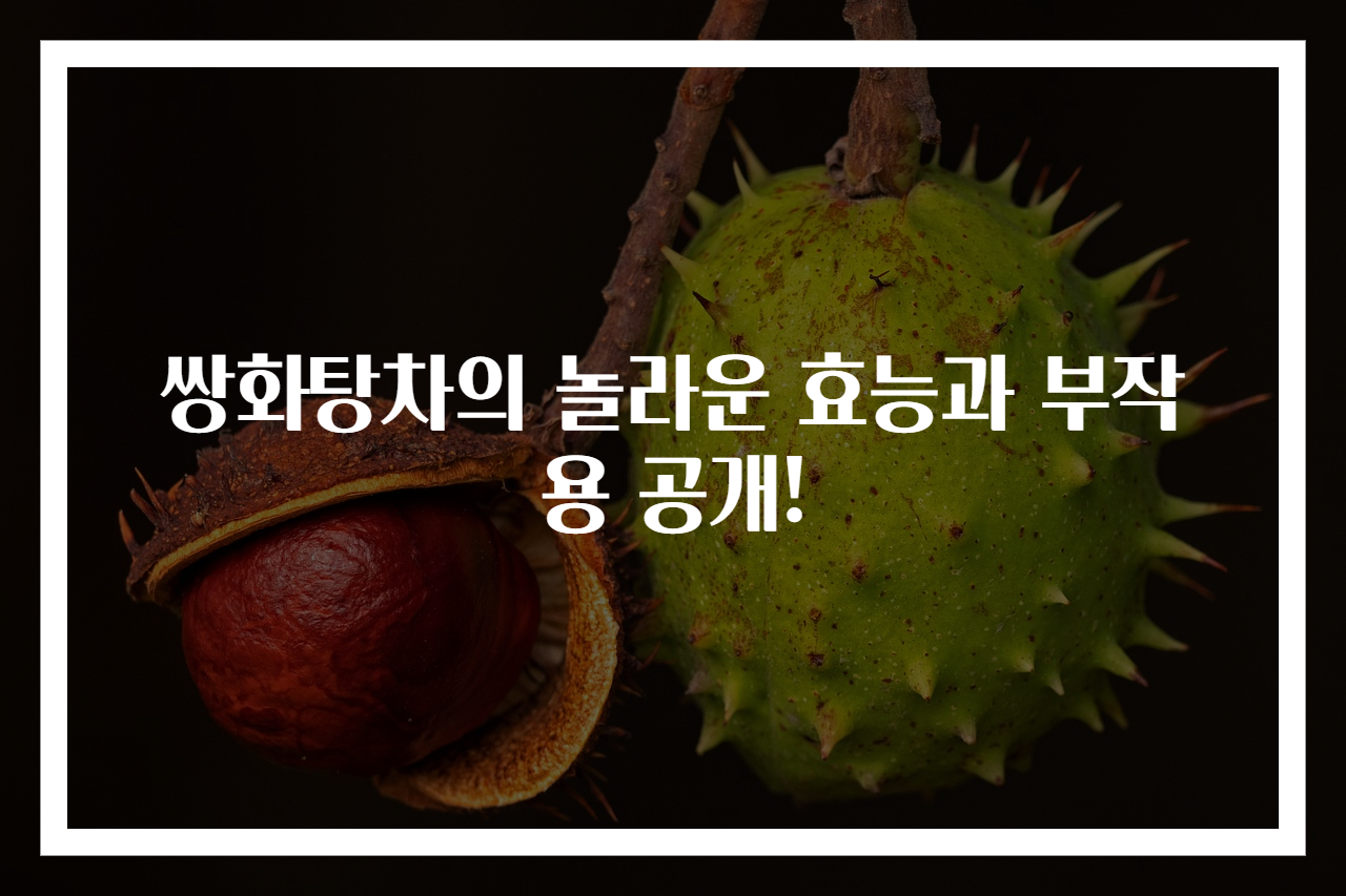 쌍화탕차의 놀라운 효능과 부작용 공개!