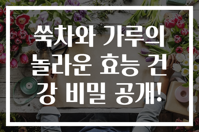 쑥차와 가루의 놀라운 효능 건강 비밀 공개!