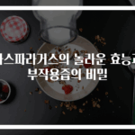 아스파라거스의 놀라운 효능과 부작용즙의 비밀