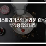 아스파라거스의 놀라운 효능과 부작용즙의 비밀