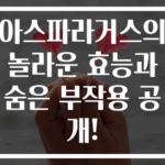 아스파라거스의 놀라운 효능과 숨은 부작용 공개!