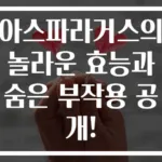아스파라거스의 놀라운 효능과 숨은 부작용 공개!