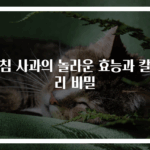 아침 사과의 놀라운 효능과 칼로리 비밀