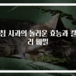 아침 사과의 놀라운 효능과 칼로리 비밀