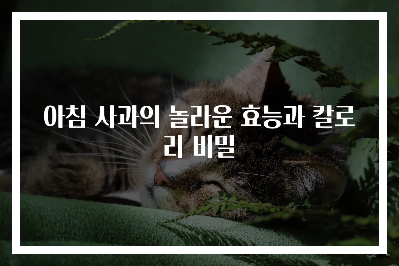 아침 사과의 놀라운 효능과 칼로리 비밀