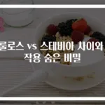 알룰로스 vs 스테비아 차이와 부작용 숨은 비밀