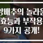 양배추의 놀라운 효능과 부작용 9가지 공개!