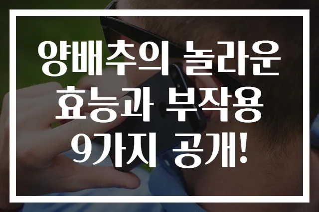 양배추의 놀라운 효능과 부작용 9가지 공개!