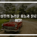 양상추의 놀라운 효능과 칼로리 비밀!