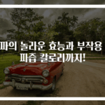 양파의 놀라운 효능과 부작용 양파즙 칼로리까지!