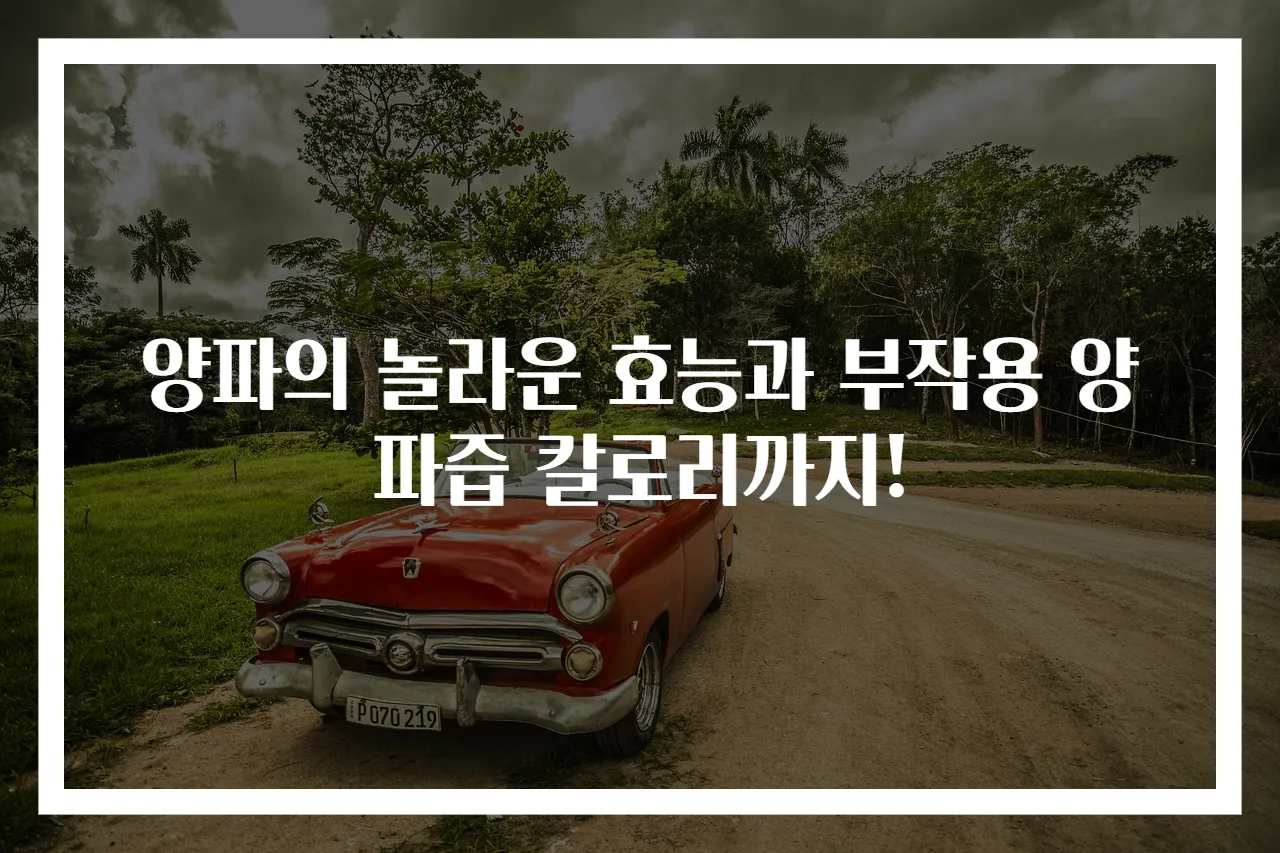 양파의 놀라운 효능과 부작용 양파즙 칼로리까지!