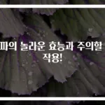 양파의 놀라운 효능과 주의할 부작용!