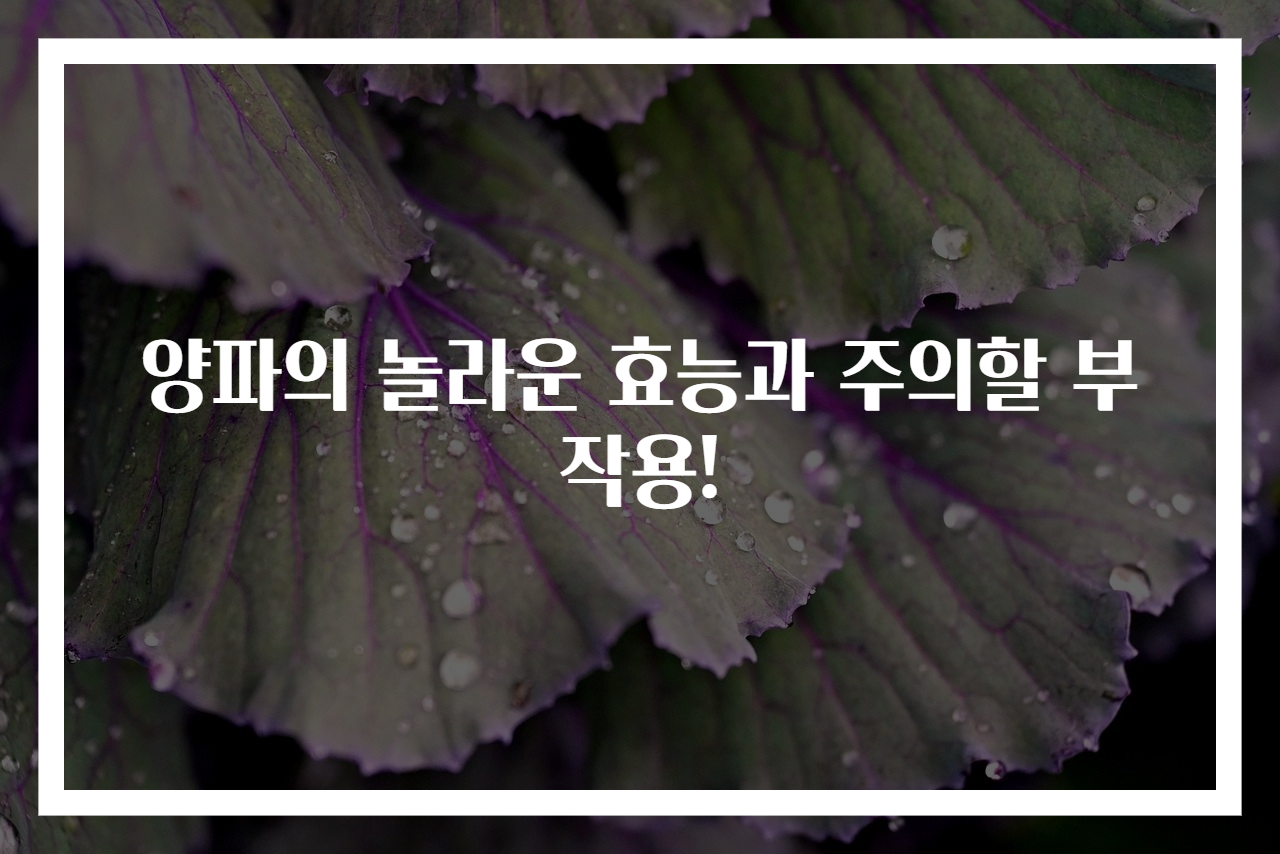 양파의 놀라운 효능과 주의할 부작용!