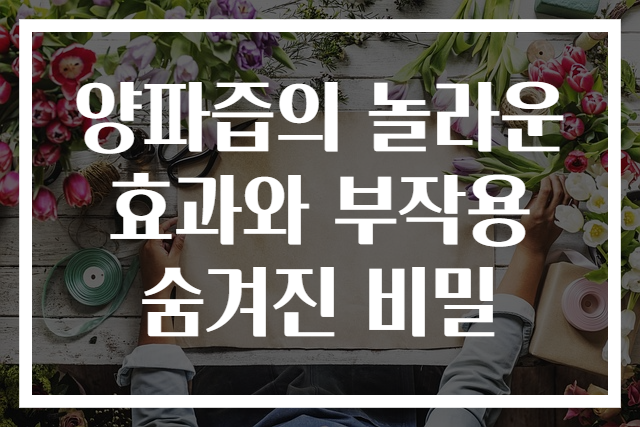 양파즙의 놀라운효과와 부작용 숨겨진 비밀