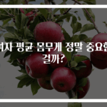 여자 평균 몸무게 정말 중요한 걸까?