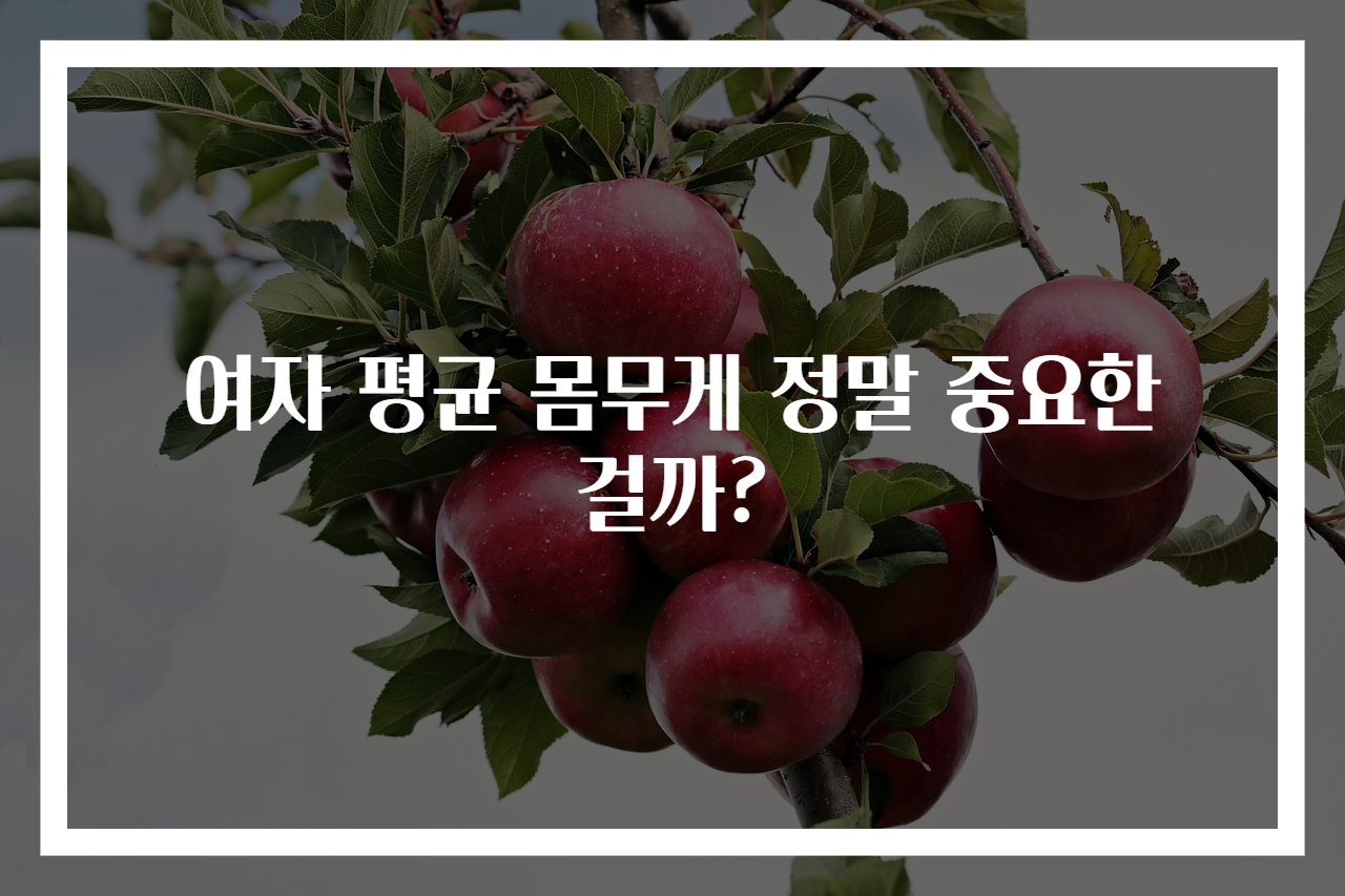 여자 평균 몸무게 정말 중요한 걸까?