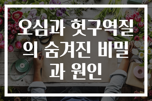 오심과 헛구역질의 숨겨진 비밀과 원인