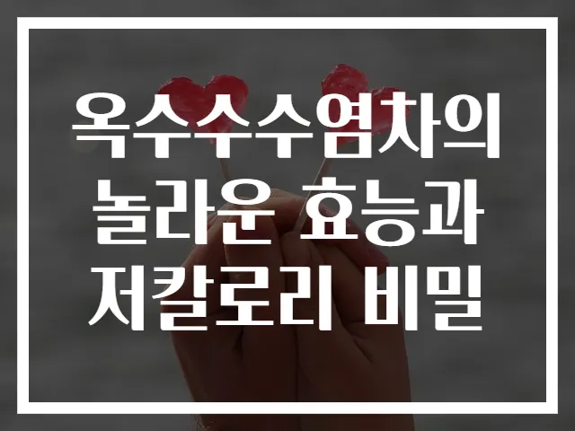 옥수수수염차의 놀라운 효능과 저칼로리 비밀
