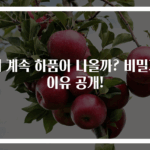 왜 계속 하품이 나올까? 비밀과 이유 공개!