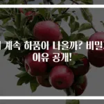 왜 계속 하품이 나올까? 비밀과 이유 공개!