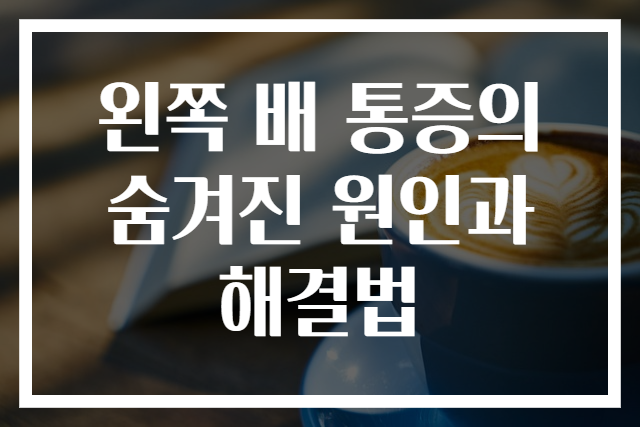 왼쪽 배 통증의 숨겨진 원인과 해결법
