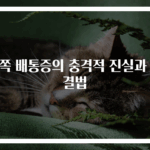 왼쪽 배통증의 충격적 진실과 해결법