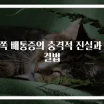 왼쪽 배통증의 충격적 진실과 해결법