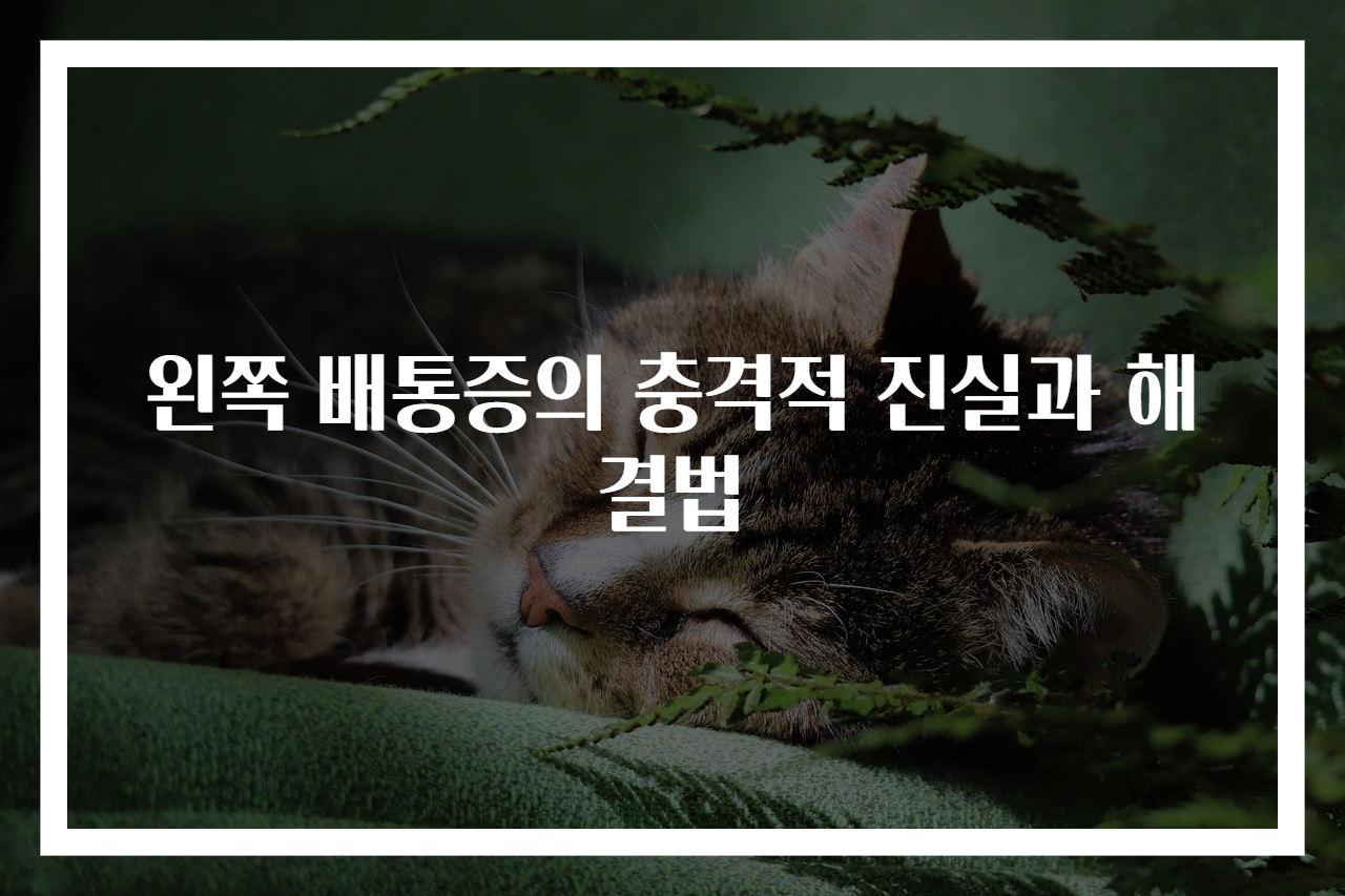 왼쪽 배통증의 충격적 진실과 해결법