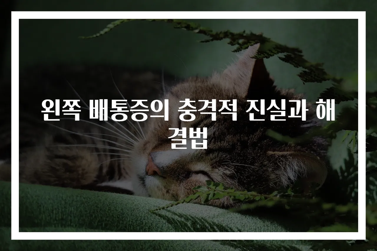 왼쪽 배통증의 충격적 진실과 해결법