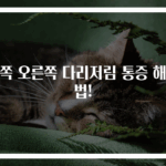 왼쪽 오른쪽 다리저림 통증 해결법!