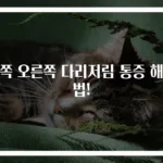 왼쪽 오른쪽 다리저림 통증 해결법!